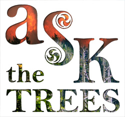 aSK THE tREES