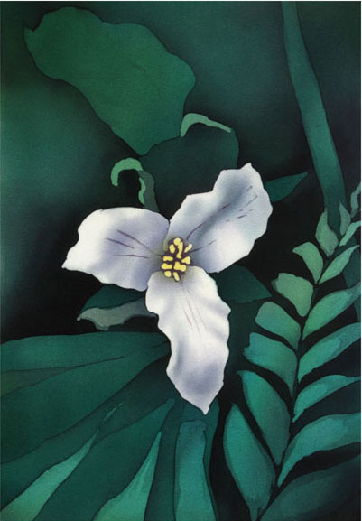 Trillium